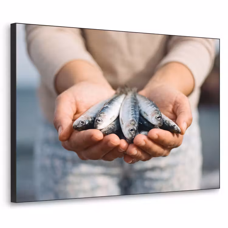 Art Frame - Fish - Hands - Nature - Vis - Handen - Natuur Textielframe zwart klein