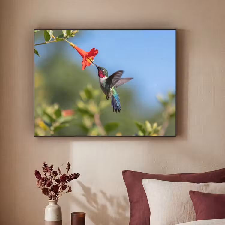 Kolibrie - Bloem - Natuur - Groen Textielframe zwart klein -sfeer1