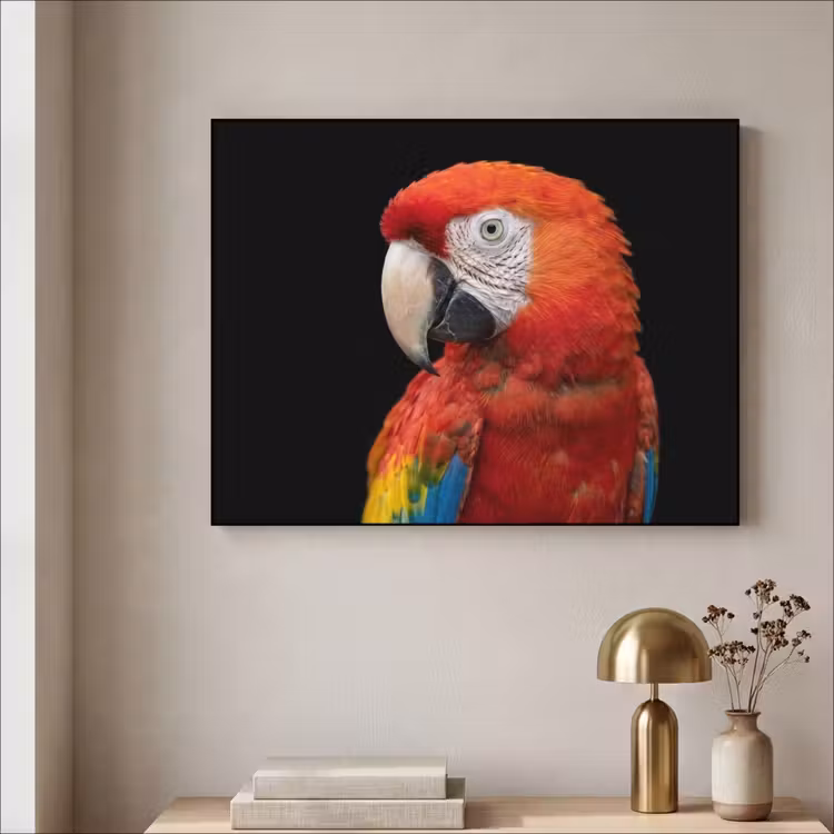 Ara - Portret - Rood Textielframe zwart klein -sfeer2