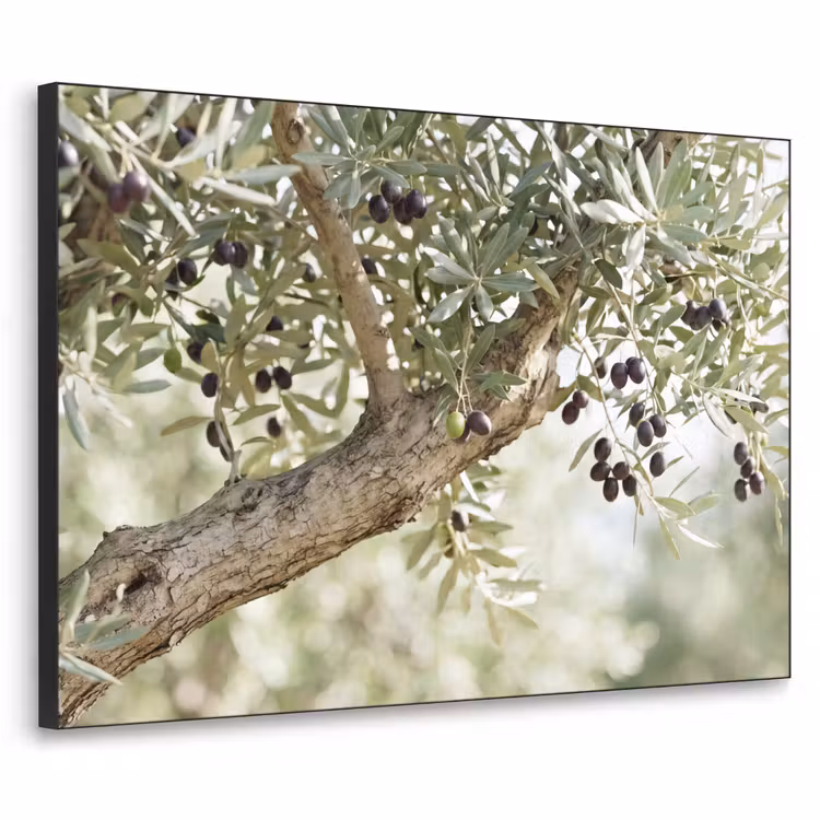 Art Frame - Olive tree - branch - green - Olijfboom - tak - groen Textielframe zwart klein