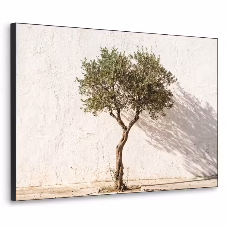 Art Frame - Olive Tree - Wall - White - Olijfboom - muur - wit Textielframe zwart klein