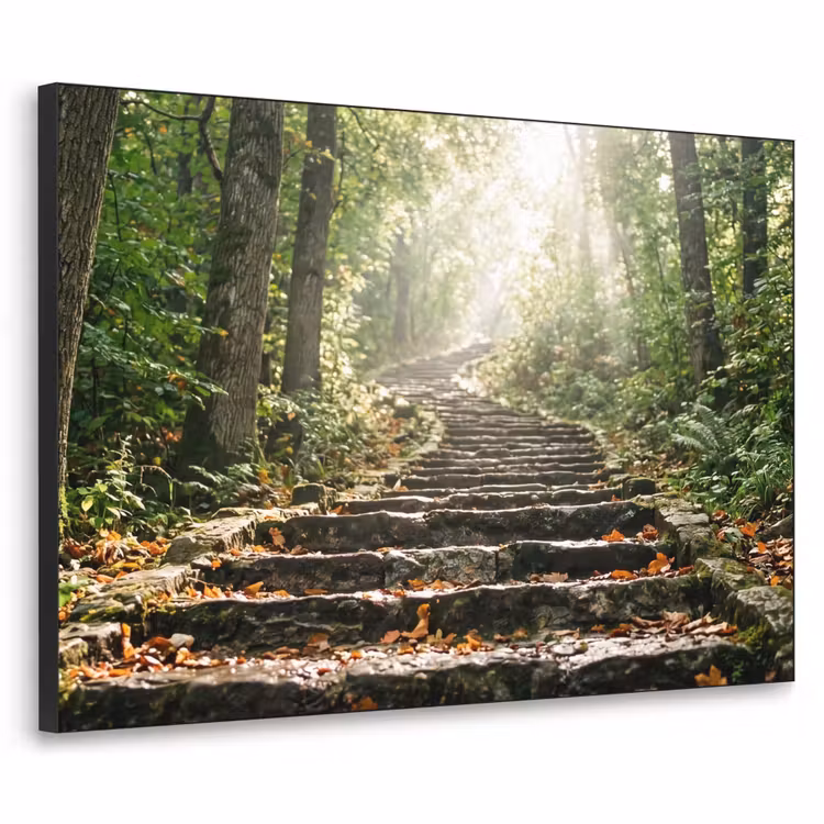 Stenen - Trap - Bos - Natuur Textielframe zwart klein -3d