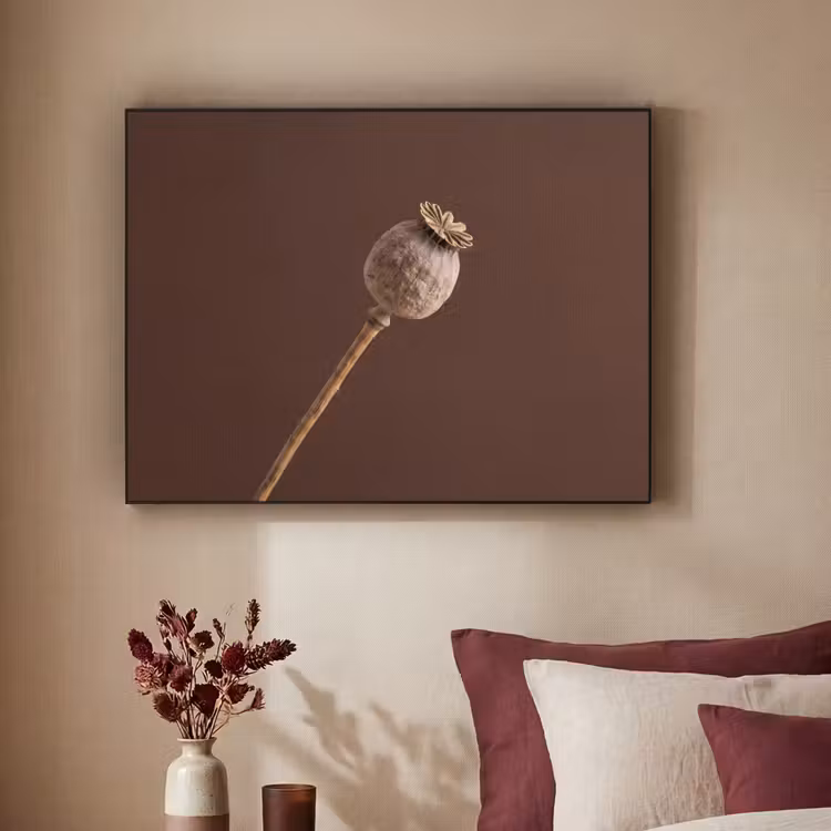 Papaverbol - Droogbloem - Bruin - Minimalistisch Textielframe zwart klein -sfeer1