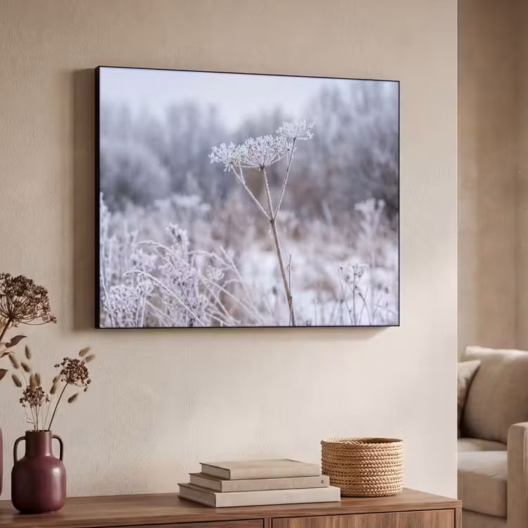 Schermbloem - Rijp - Kristallen - Winter - Delicaat Textielframe zwart klein -sfeer3