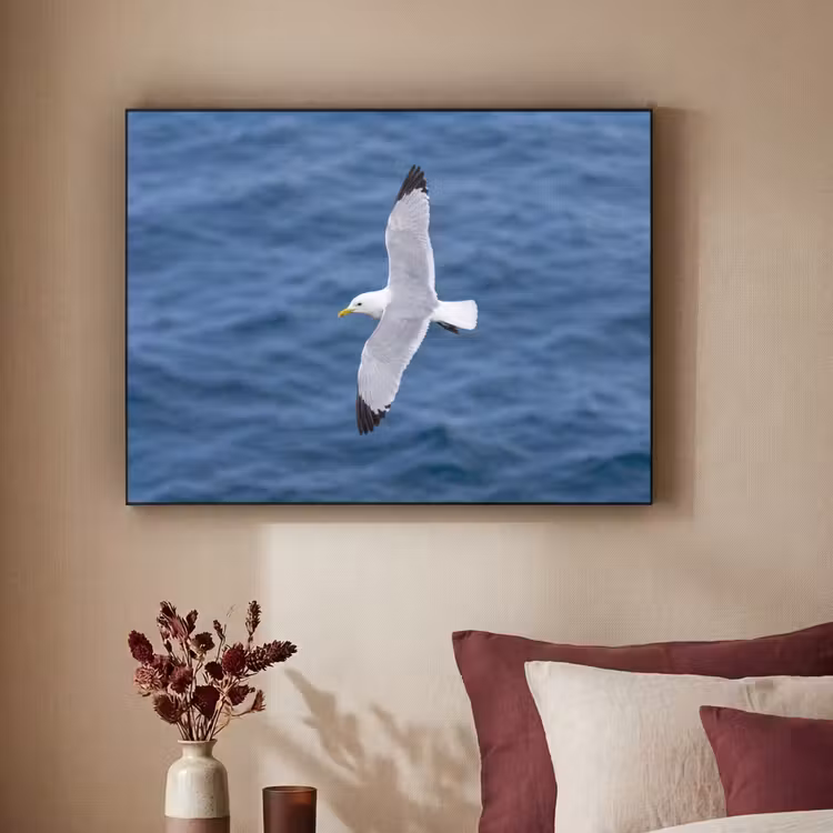 Zeemeeuw - Oceaan - Blauw Textielframe zwart klein -sfeer1