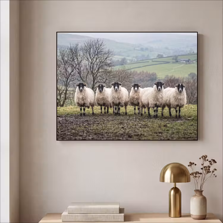 Schapen - Rij - Weide - Dieren - Platteland Textielframe zwart klein -sfeer2