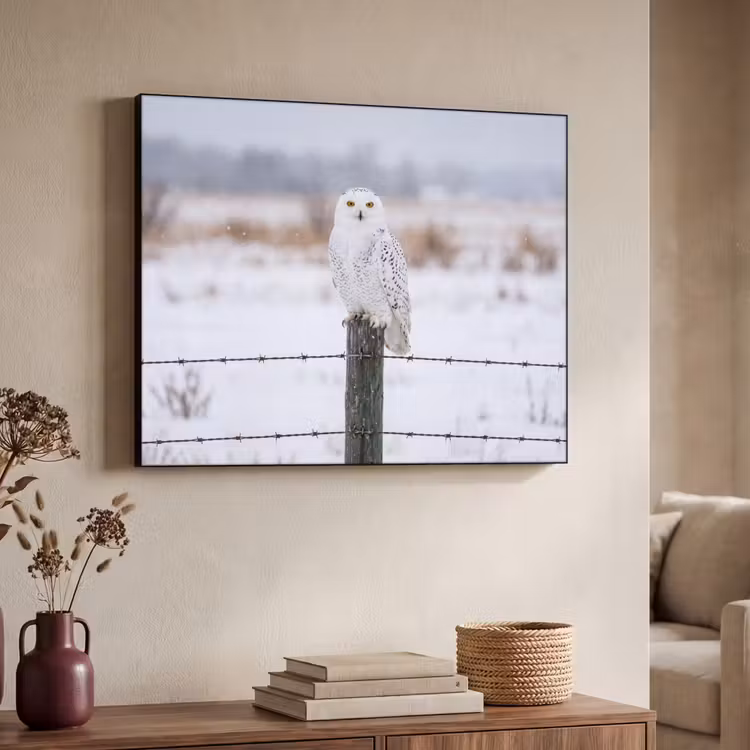 Sneeuwuil - Hek - Sneeuw - Wit Textielframe zwart klein -sfeer3