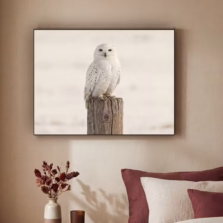 Sneeuwuil - Paal - Winter - Portret - Majestueus Textielframe zwart klein -sfeer1