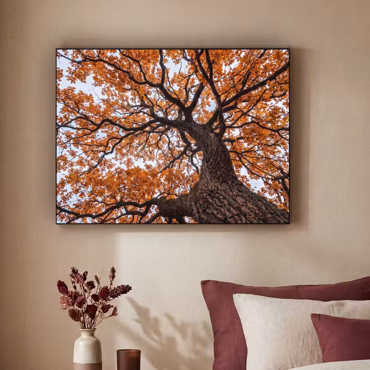 Boom - Bladerdak - Herfst - Oranje - Sfeervol Textielframe zwart klein -sfeer1