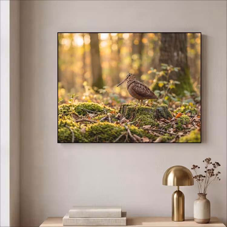 Houtsnip - Bos - Bladeren - Herfst - Gecamoufleerd Textielframe zwart klein -sfeer2