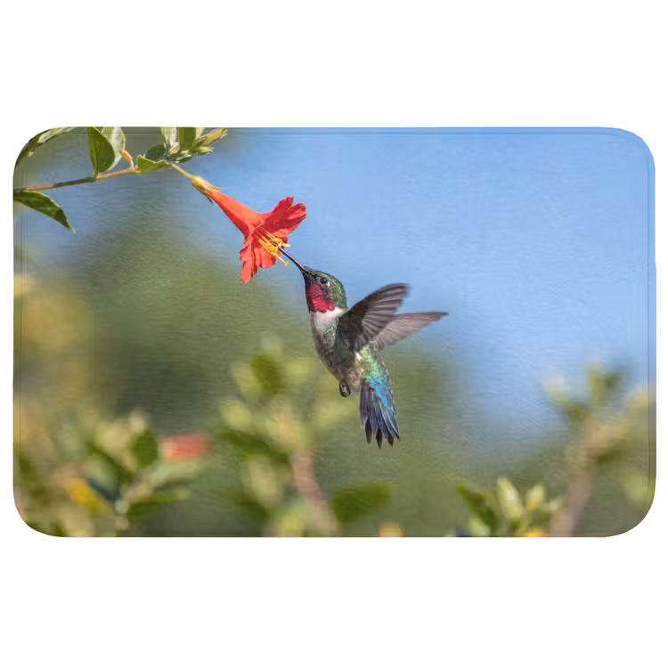 Kolibrie - Bloem - Natuur - Groen Badmat middel -3d