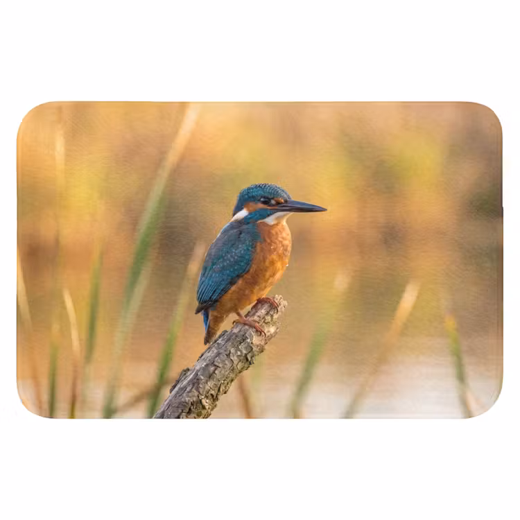 IJsvogel - Tak - Water - Kleurrijk - Levendig Badmat klein -3d