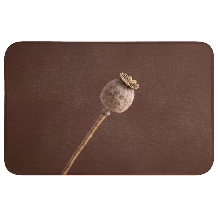 Papaverbol - Droogbloem - Bruin - Minimalistisch Badmat middel -3d