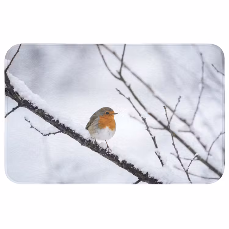 Roodborstje - Tak - Sneeuw - Winter - Levendig Badmat klein -3d