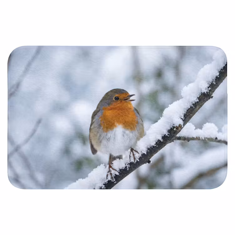 Roodborstje - Tak - Sneeuw - Winter - Levendig Badmat klein -3d