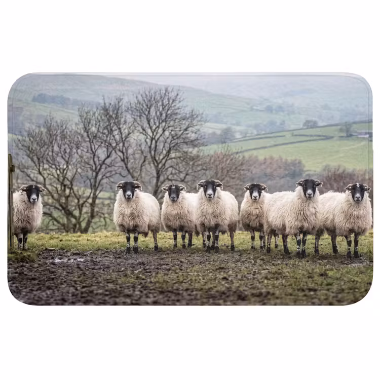 Schapen - Rij - Weide - Dieren - Platteland Badmat middel -3d