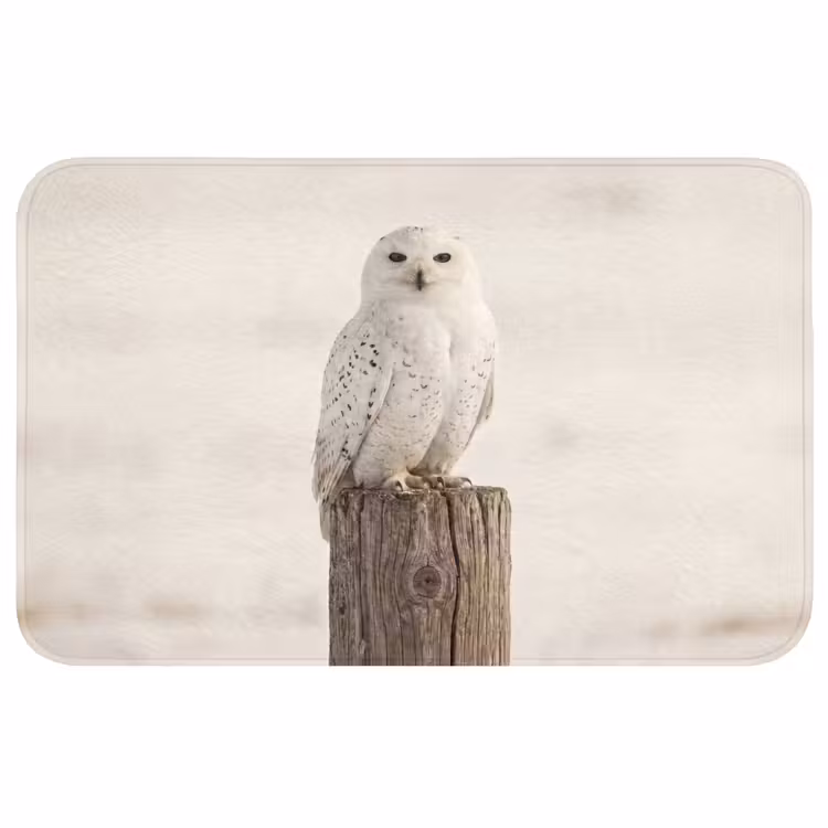 Sneeuwuil - Paal - Winter - Portret - Majestueus Badmat klein -3d