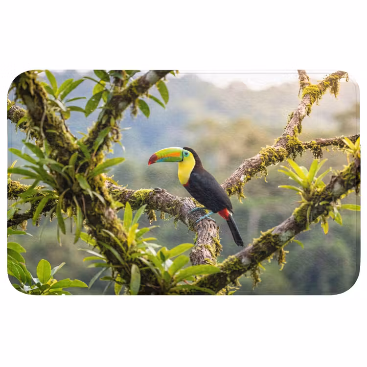Toekan - Jungle - Natuur - Kleurrijk Badmat middel -3d