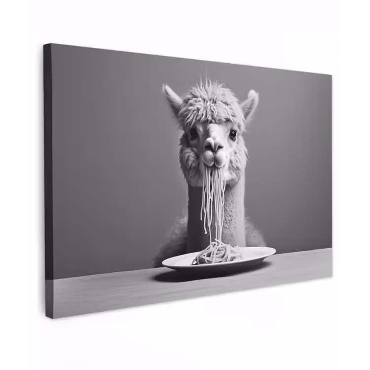 Alpaca - Pasta - Zwart - Wit - Grappig - Dieren canvas 2cm klein -z3d