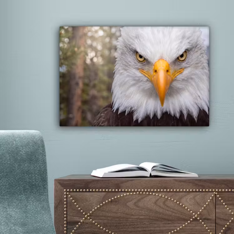 Amerikaans - Zeearend - Portret - Geel canvas 2cm klein -sfeer4