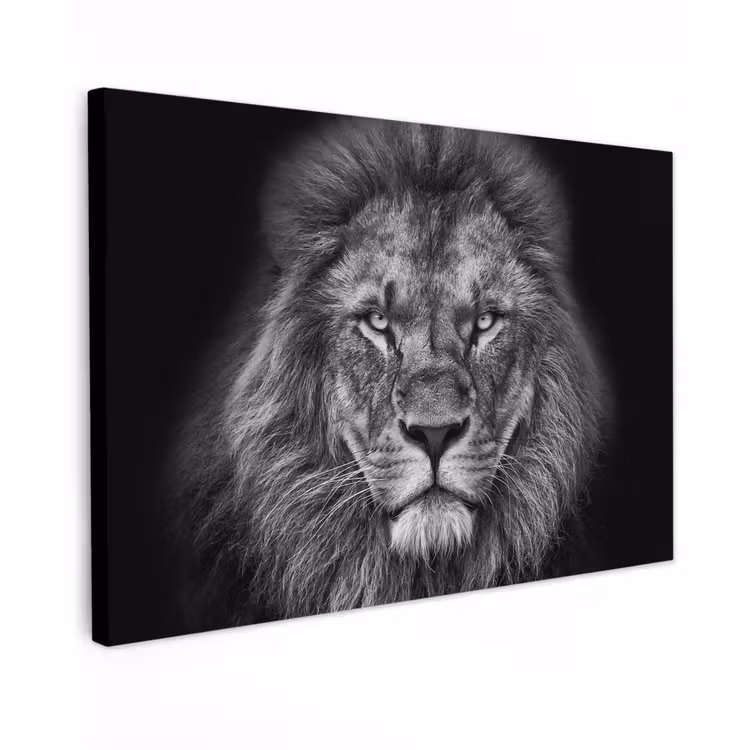 Dieren - Leeuw - Zwart - Wit - Portret canvas 2cm klein -z3d