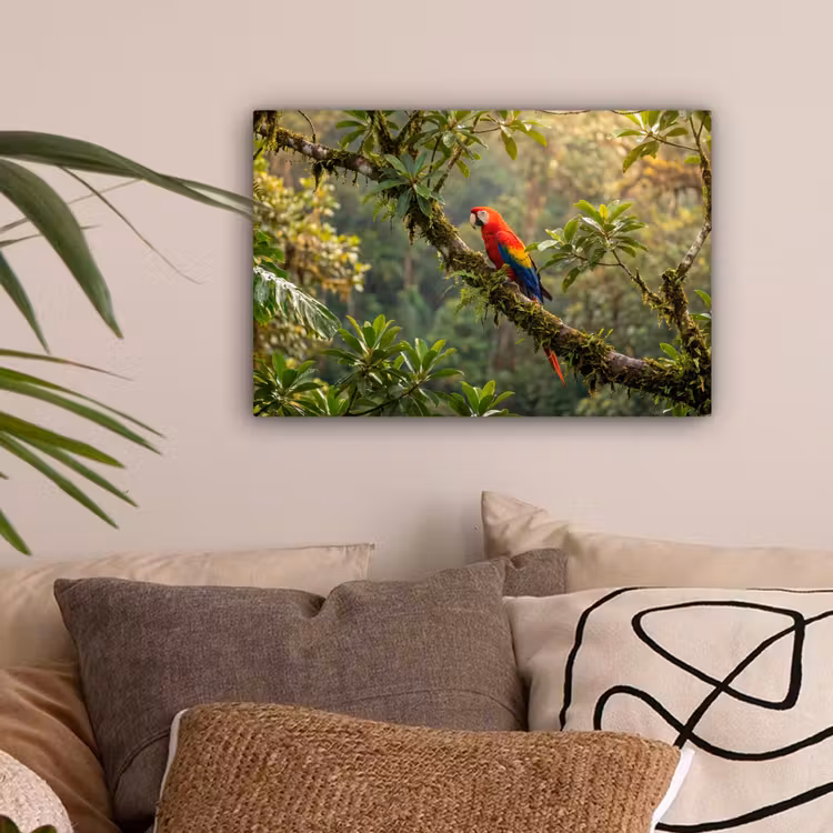 Ara - Jungle - Rood canvas 2cm klein -sfeer1