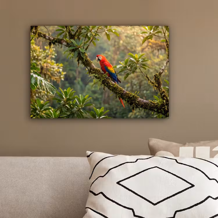 Ara - Jungle - Rood canvas 2cm klein -sfeer3