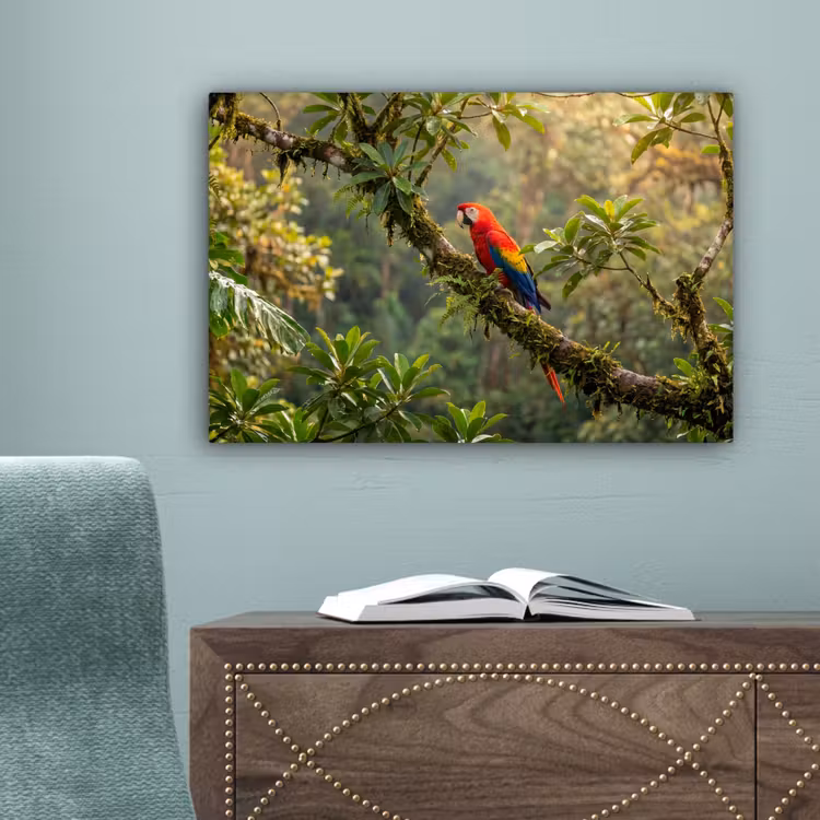Ara - Jungle - Rood canvas 2cm klein -sfeer4
