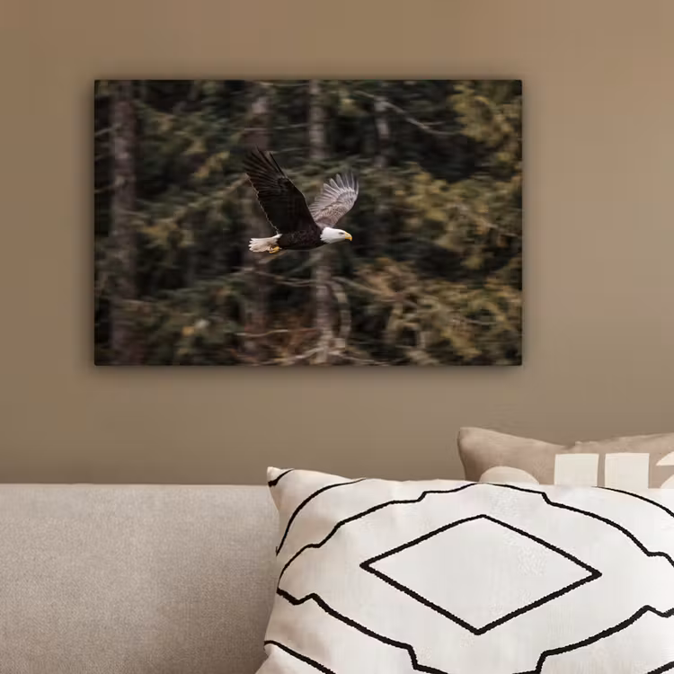 Zeearend - Vliegen - Bos - Natuur canvas 2cm klein -sfeer3