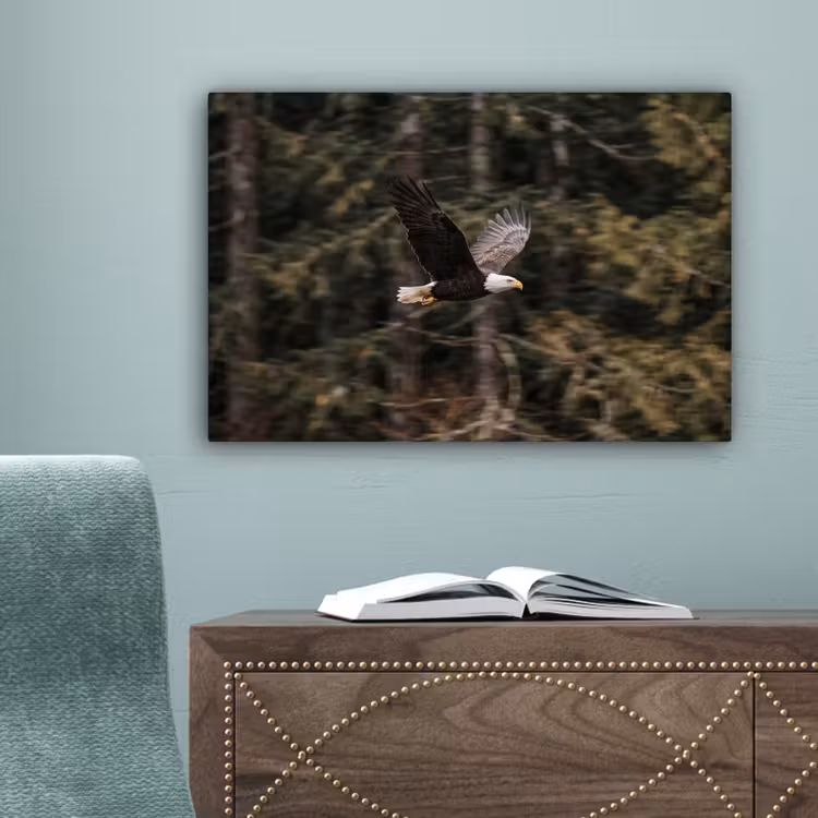 Zeearend - Vliegen - Bos - Natuur canvas 2cm klein -sfeer4