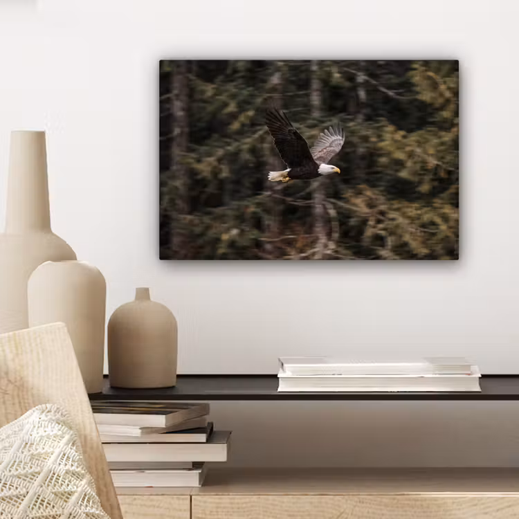 Zeearend - Vliegen - Bos - Natuur canvas 2cm klein -sfeer6