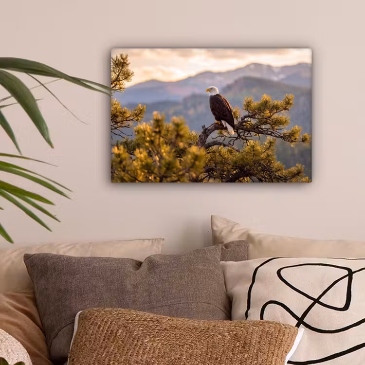 Zeearend - Boom - Bergen - Groen canvas 2cm klein -sfeer1
