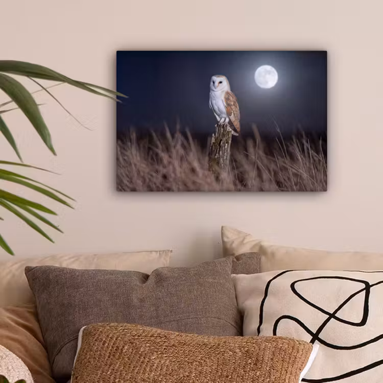 Kerkuil - Maan - Nacht canvas 2cm klein -sfeer1