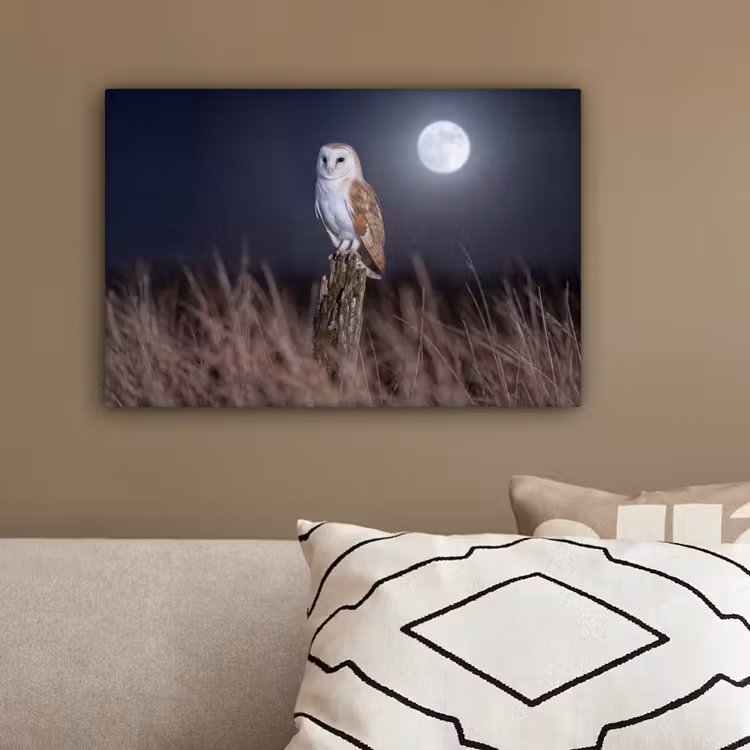 Kerkuil - Maan - Nacht canvas 2cm klein -sfeer3