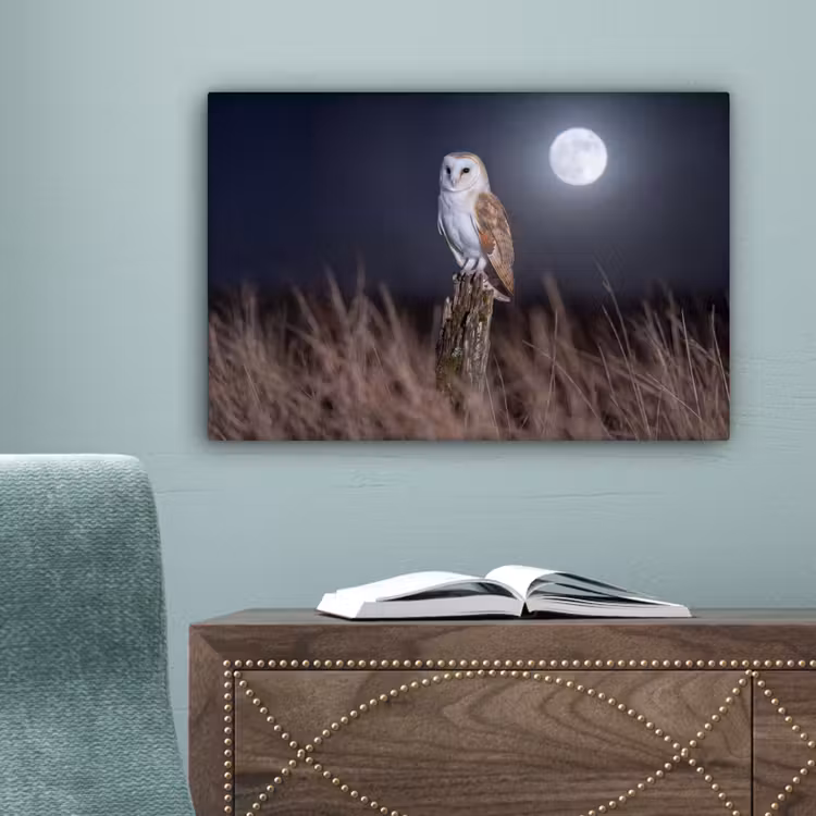 Kerkuil - Maan - Nacht canvas 2cm klein -sfeer4