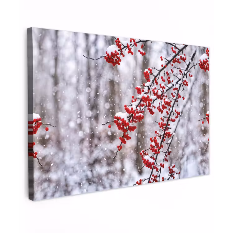 Bessen - Takken - Sneeuw - Winter - Kleurrijk canvas 2cm klein -z3d