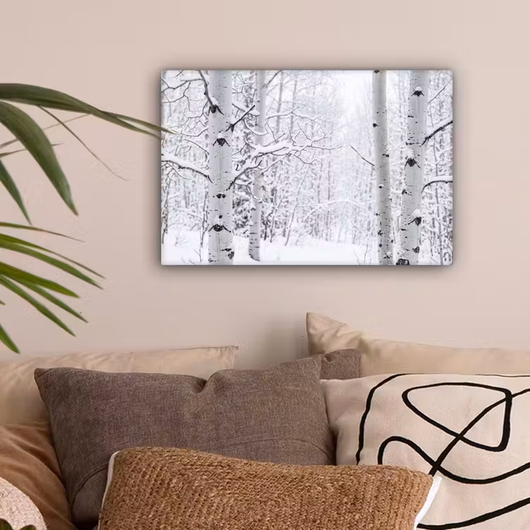 Berkenbomen - Sneeuw - Winter - Bos - Wit canvas 2cm klein -sfeer1