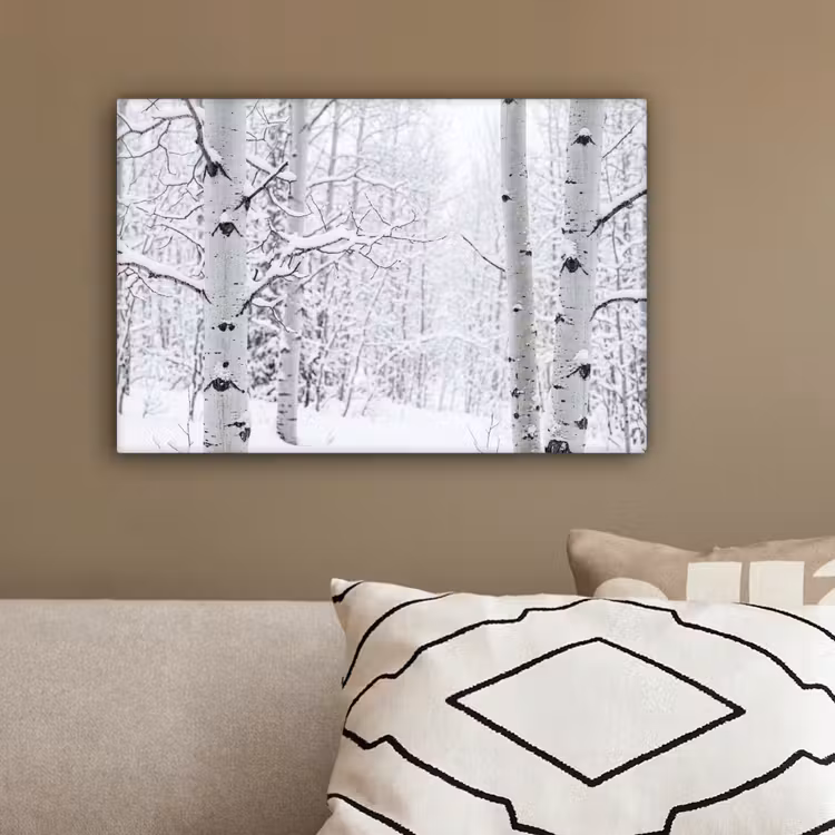 Berkenbomen - Sneeuw - Winter - Bos - Wit canvas 2cm klein -sfeer3