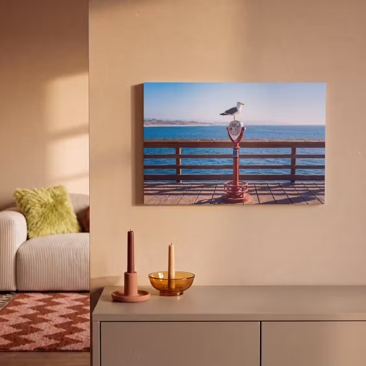 Vogel - Verrekijker - Kust - Zee - Blauw canvas 2cm klein -sfeer1