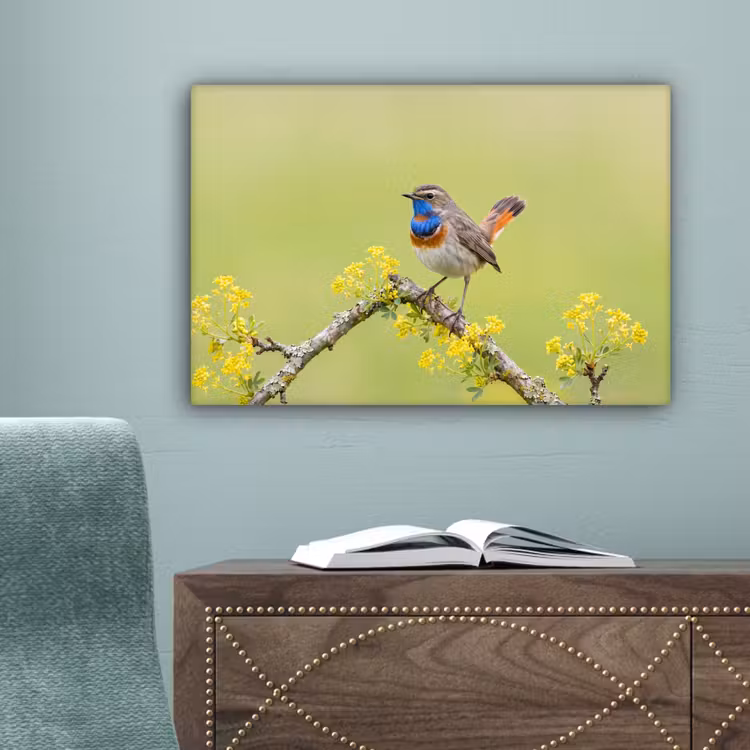 Vogel - Tak - Natuur - Kleurrijk canvas 2cm klein -sfeer4