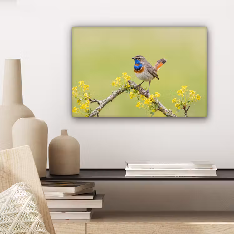 Vogel - Tak - Natuur - Kleurrijk canvas 2cm klein -sfeer6