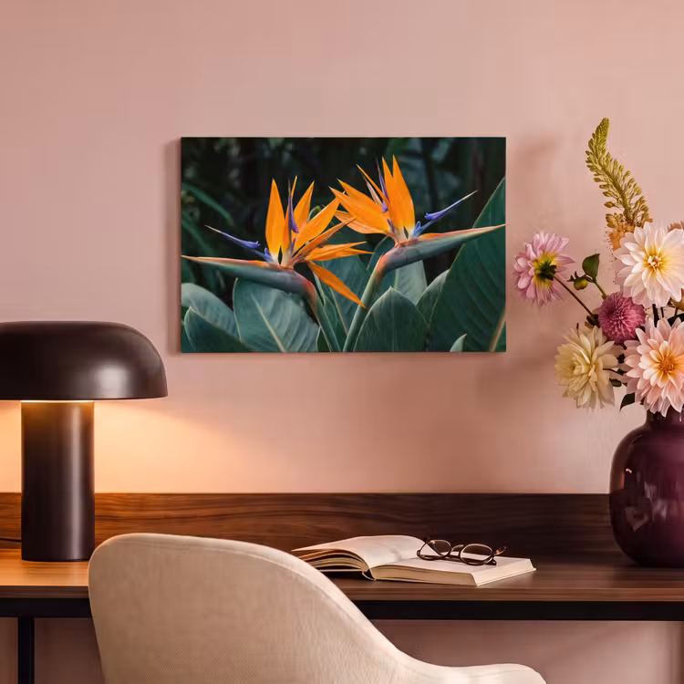 Paradijsvogel - Bloem - Exotisch canvas 2cm klein -sfeer4