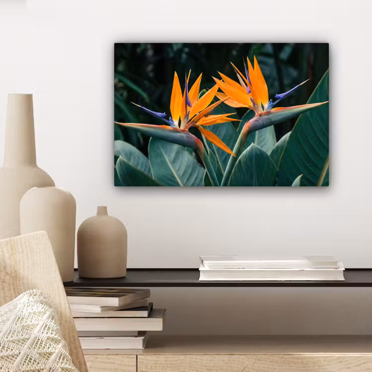 Paradijsvogel - Bloem - Exotisch canvas 2cm klein -sfeer6
