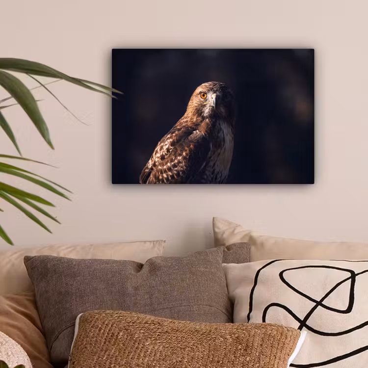 Roofvogel - Buizerd - Bruin canvas 2cm klein -sfeer1