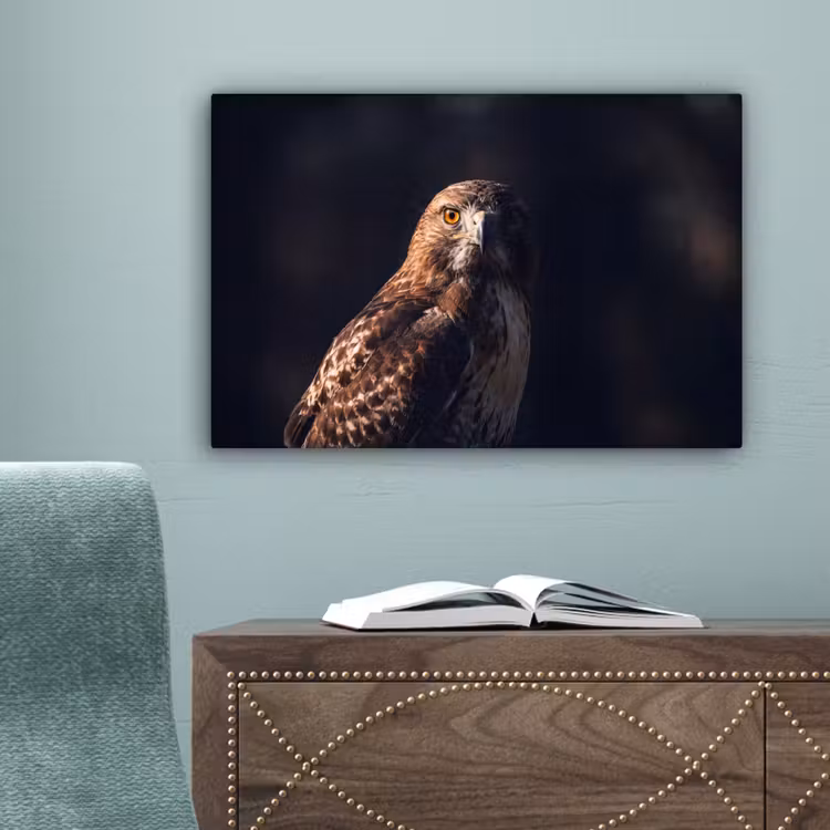 Roofvogel - Buizerd - Bruin canvas 2cm klein -sfeer4
