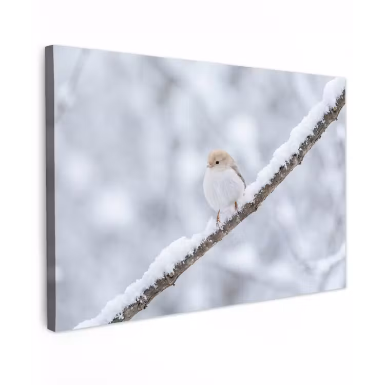 Vogeltje - Sneeuw - Tak - Winter - Zacht canvas 2cm klein -z3d