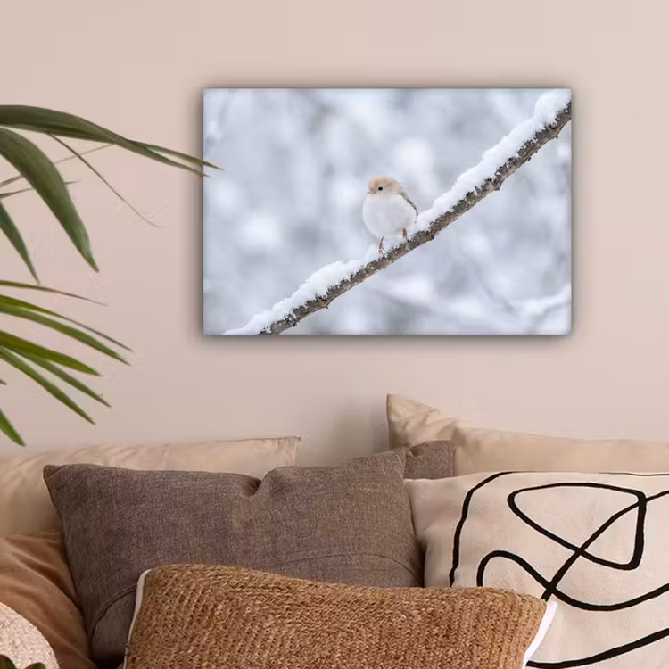 Vogeltje - Sneeuw - Tak - Winter - Zacht canvas 2cm klein -sfeer1