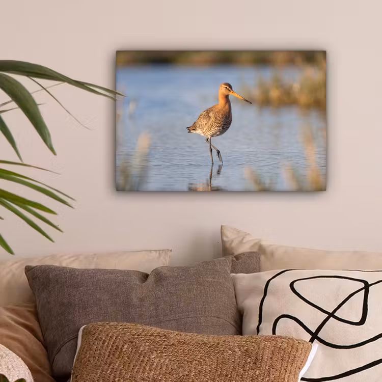 Vogel - Steltloper - Water - Natuur canvas 2cm klein -sfeer1