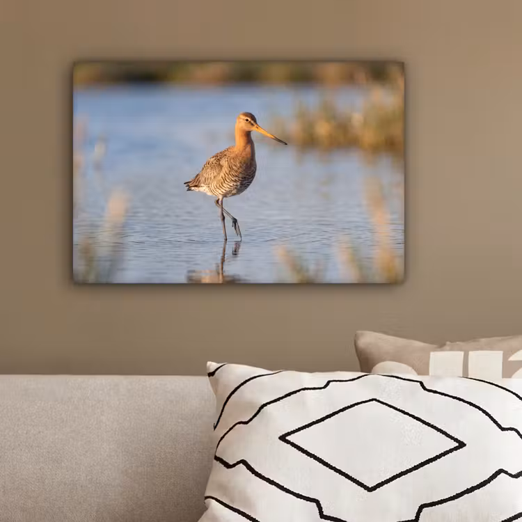 Vogel - Steltloper - Water - Natuur canvas 2cm klein -sfeer3