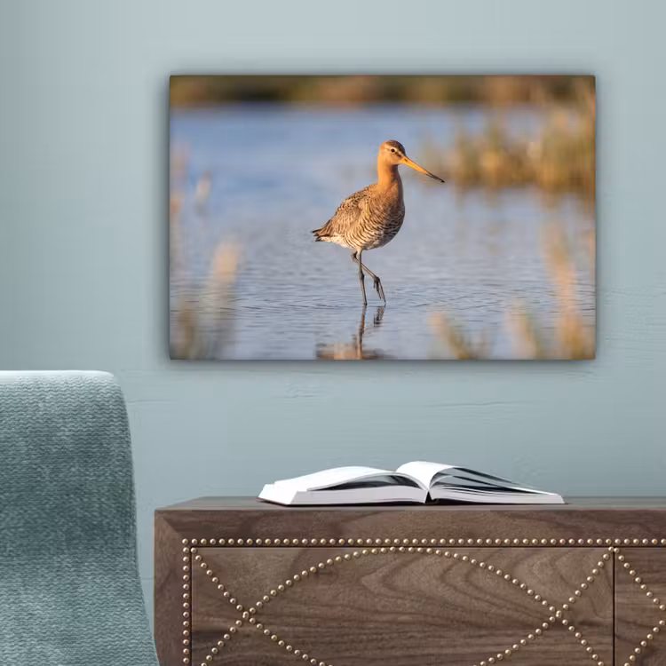Vogel - Steltloper - Water - Natuur canvas 2cm klein -sfeer4